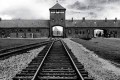 Holocaust. Auschwitz