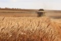 Seceta în UE: jumătate din teritoriu este expus riscului, România se confruntă cu scăderea randamentului culturilor
