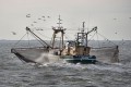 Scandalul de corupţie din cazul „regilor cotelor de pescuit” zguduie guvernul Danemarcei, Londra jubilează