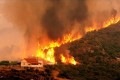 Incendii forestiere/ UE oferă o asistență crucială regiunii mediteraneene